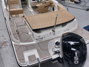Sea Ray 190 SPOE