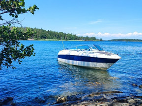 Yamarin 6100