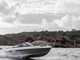 Yamarin Cross 62 BR
