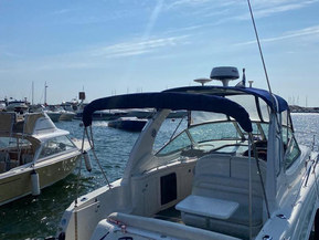 Sea Ray 335 Sundancer