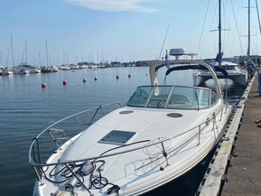 Sea Ray 335 Sundancer