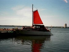 Albatross 