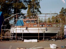 Albatross 