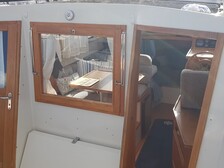 Albatross 