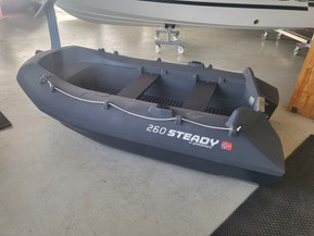 Pioner 260 Steady