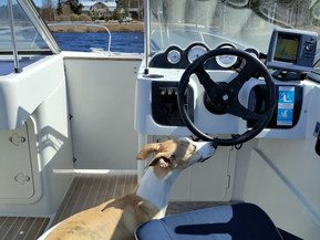 Finnmaster 5700 Open