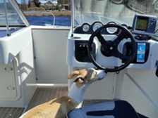 Finnmaster 5700 Open