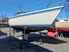 Finn 26