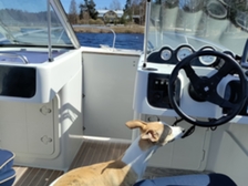 Finnmaster 5700 Open