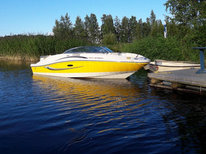 Sea Ray 185 Sport