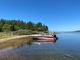 Sea Ray