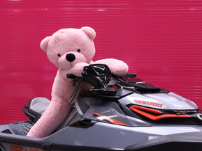 Sea-Doo RXT-X 300 RS