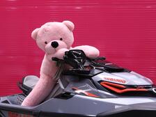 Sea-Doo RXT-X 300 RS