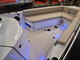 Axopar 28 BRABUS 500