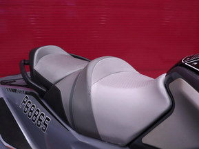 Sea-Doo RXT-X 300 RS