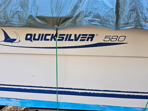 Quicksilver 