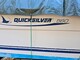 Quicksilver