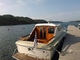 Coronet 24 family