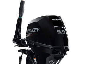 Mercury F9.9 EH