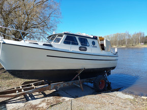 Albatross 29