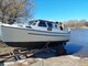 Albatross 29