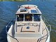 Albatross 29