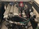 Seiskari 750 Lark