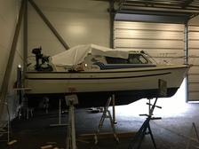 Albatross 