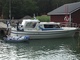 Albatross