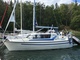 Albatross