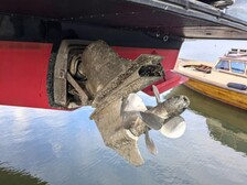 Tristan 345 Flybridge