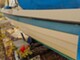 Bella 530 HT Classic HT