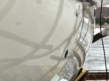 Albatross 321