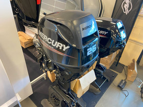 Mercury F20 ELPT EFI