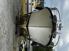 Albatross 321