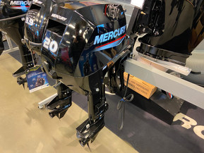 Mercury F20 ELPT EFI