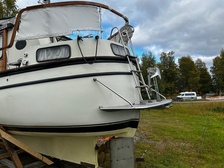 Albatross 321