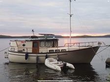 Albatross 321