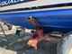 Aquador 25 WA