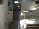 Sea Ray 290 Sundancer