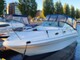 Sea Ray 240 Sundancer