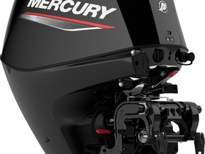 Mercury F 25