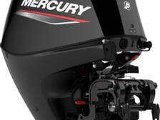 Mercury F 25