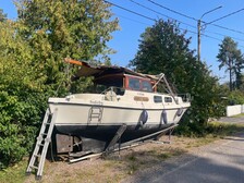 Nordic MS 81