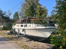 Nordic MS 81