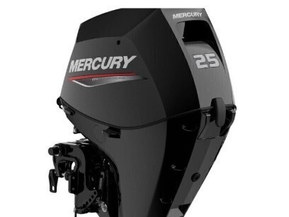 Mercury F 25