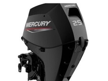 Mercury F 25
