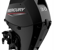 Mercury F30 ELPT EFI