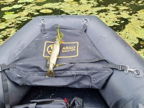 Argo Rower 265 Airdeck