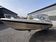Silver Eagle BR 650